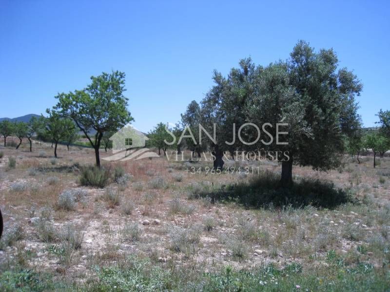 Land in Alicante for sale Building Photo- Image 1 of 2