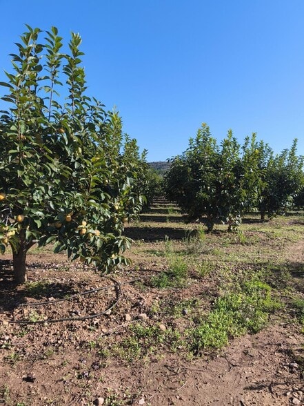 Plaça Bandes de Música de la Comunitat Valenciana, 5, València, Valencia for sale - Building Photo - Image 3 of 6