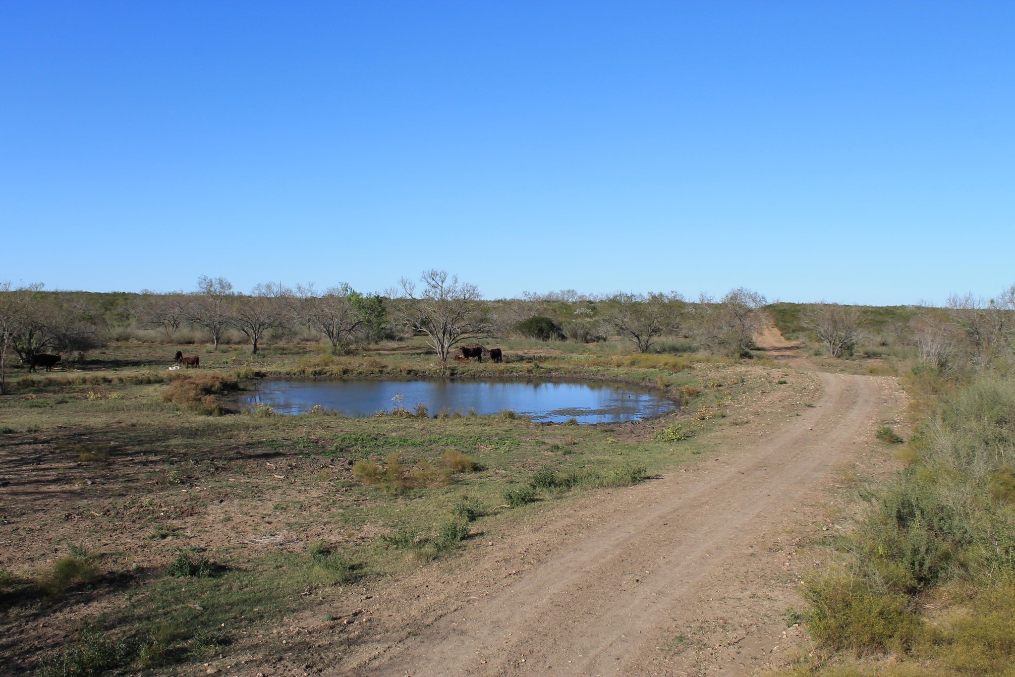 10333 FM 2779, Pearsall, TX for sale Primary Photo- Image 1 of 1