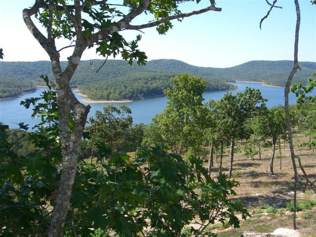 1773 Buttermilk Spring Rd, Galena, MO for sale Other- Image 1 of 1