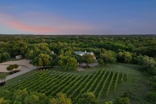 18059A Ranch to Market Road 1826, Driftwood TX - Vineyard