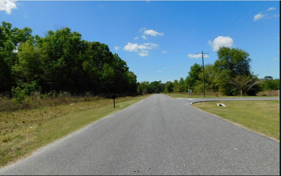 SW Windswept Glen, Lake City, FL for sale - Primary Photo - Image 1 of 2