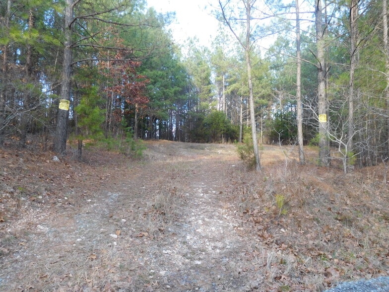 Tanners Rd, Smyrna, SC for sale - Building Photo - Image 2 of 4
