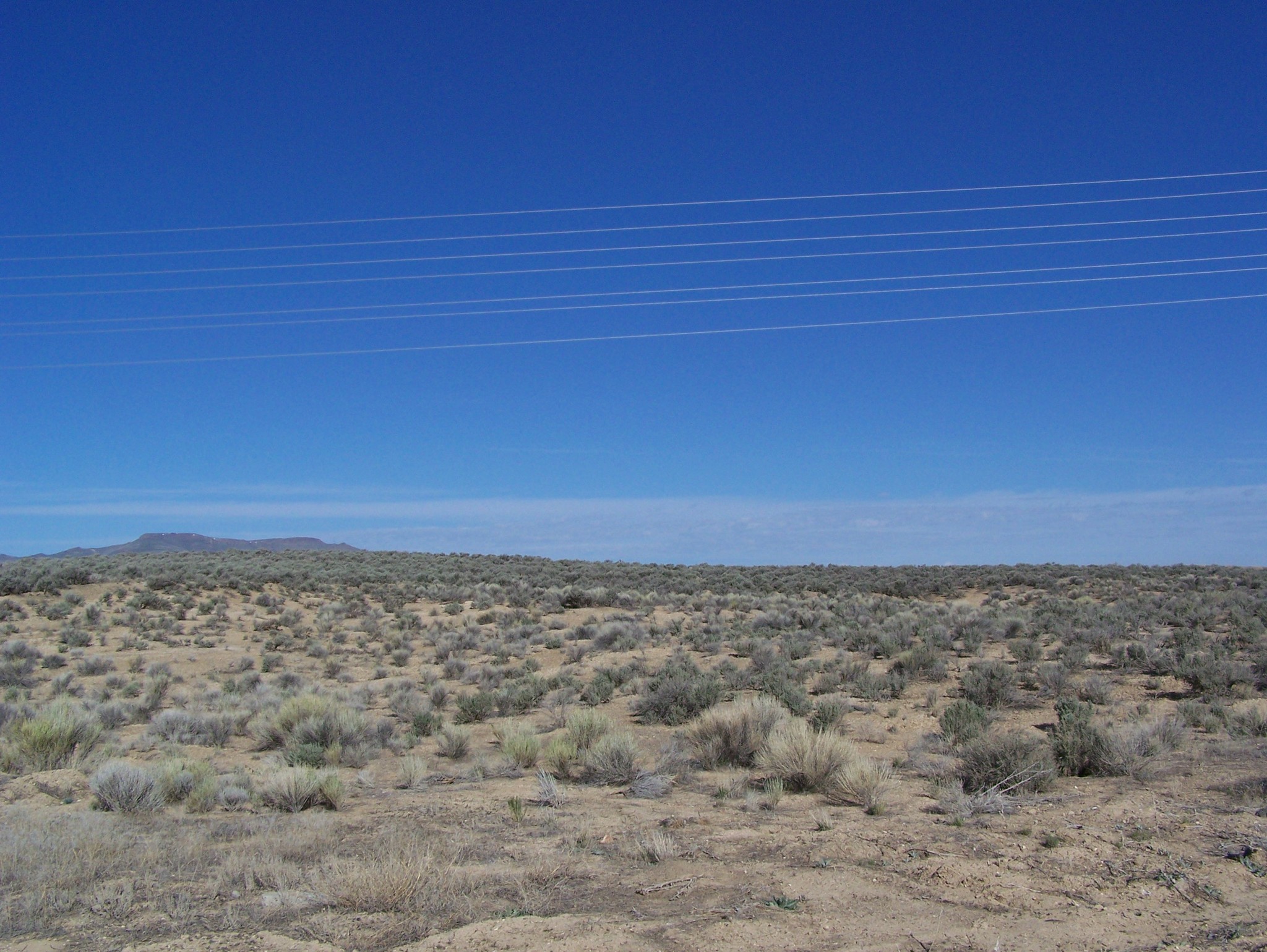 SR 766 Hwy, Carlin, NV for sale Primary Photo- Image 1 of 1