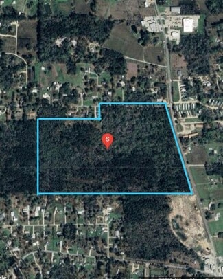 More details for 29001 Louisiana 43 Hwy, Albany, LA - Land for Sale