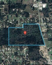 29001 Louisiana 43 Hwy, Albany, LA - AERIAL map view - Image1