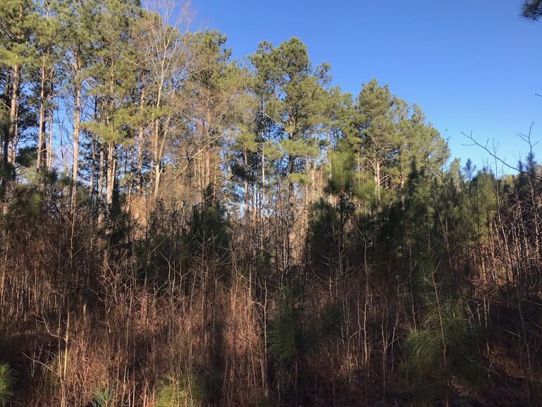 1329 Cross Plains Rd, Carrollton, GA 30116