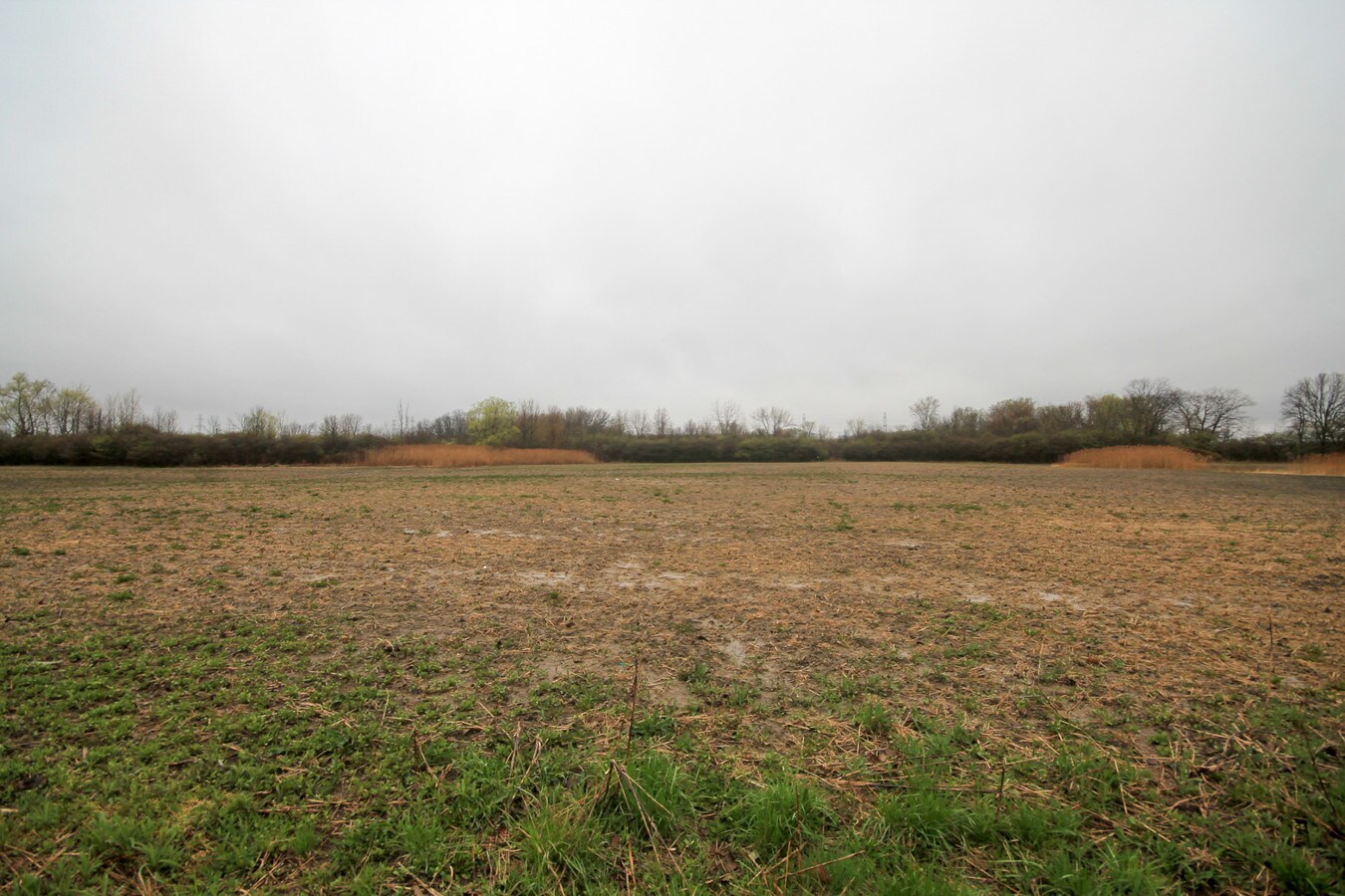 Oil Springs Line, Courtright, ON N0N 1H0