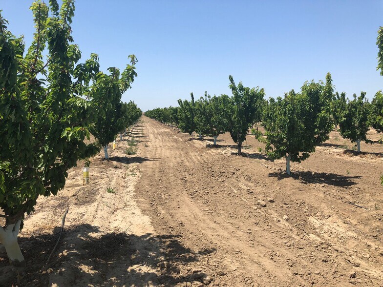 Hanford Armona Road, Hanford, CA for sale - Building Photo - Image 3 of 3