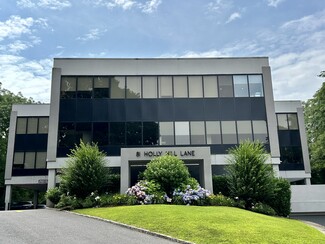 More details for 81 Holly Hill Ln, Greenwich, CT - Office for Lease