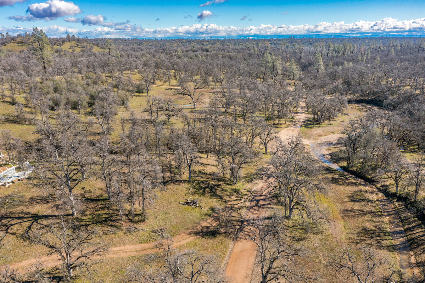 Black Pine, Cottonwood, CA 96022 - Black Pine Rd. 9.5 Acres | LoopNet