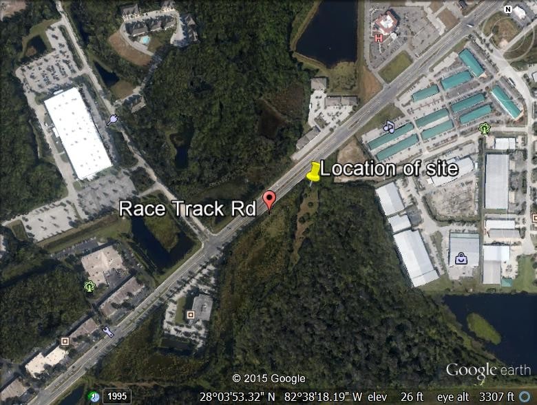 Race Track Rd, Tampa, FL 33626 Race Track Rd near Westchase