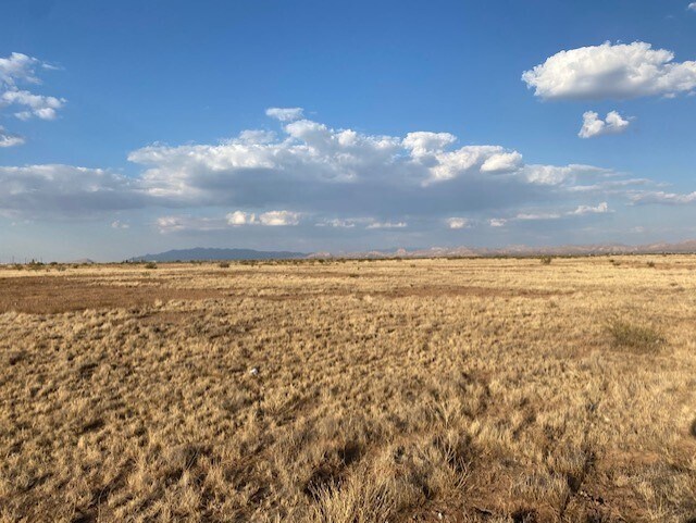 20 W Glenn Rd, Douglas, AZ for sale Other- Image 1 of 1