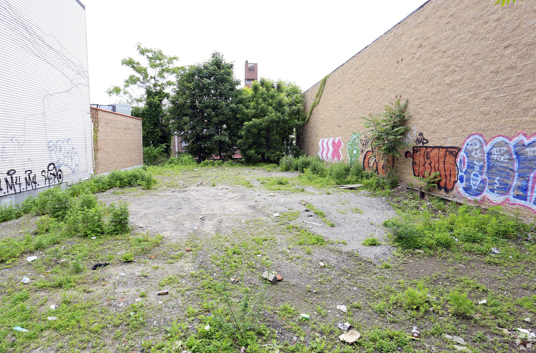 3545 White Plains Rd, Bronx, NY for sale Primary Photo- Image 1 of 1