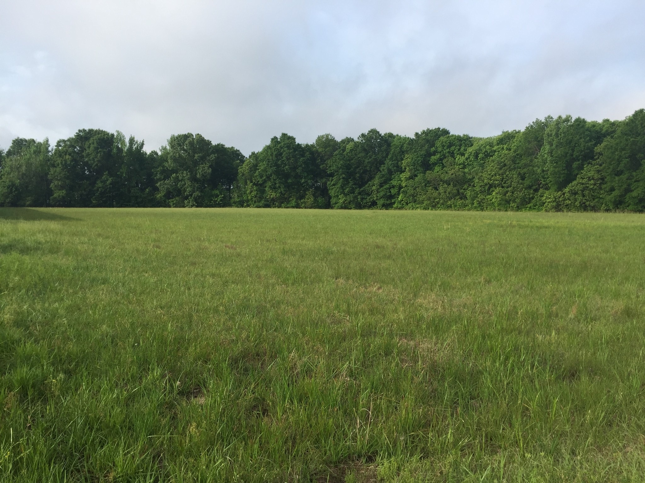 Interstate Dr., Richland, MS for sale Building Photo- Image 1 of 1