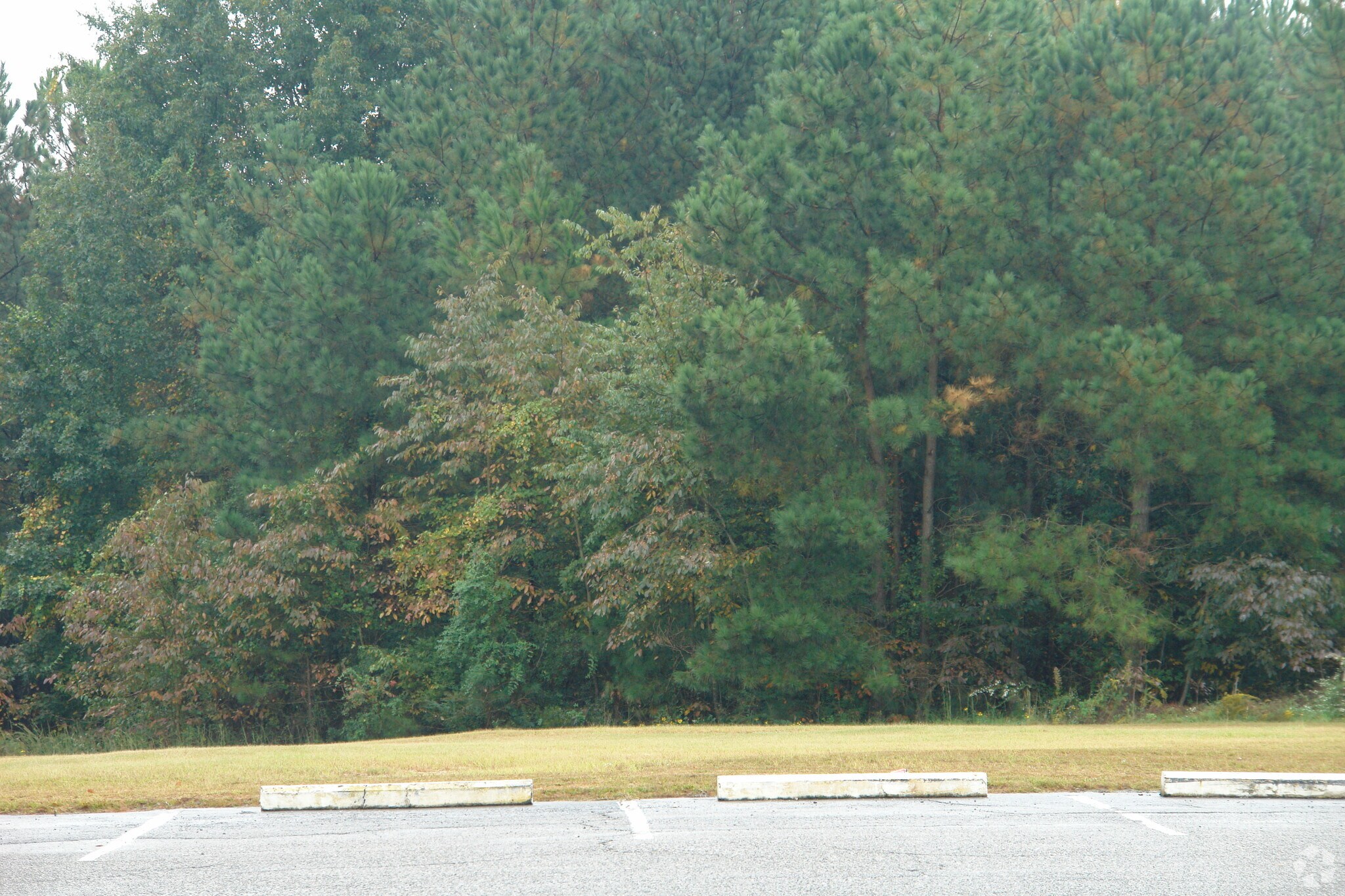 Jamil Rd, Columbia, SC for sale Primary Photo- Image 1 of 1