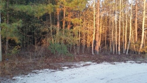 6340 Sylvia Rd, Rembert, SC for sale Primary Photo- Image 1 of 1