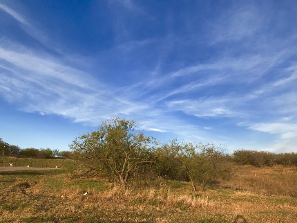 1228 Serenity Ct, Cedar Hill, TX for sale Other- Image 1 of 1