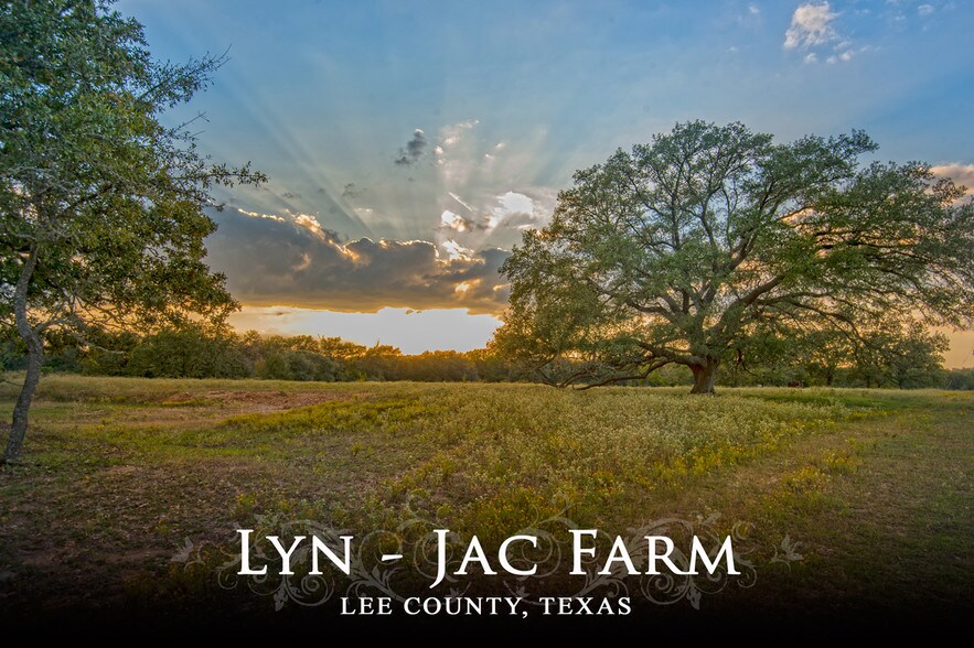 FM 141, Giddings, TX for sale - Other - Image 1 of 1