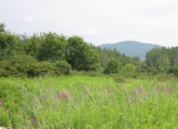 134.5 Park St, Rutland, VT for sale Primary Photo- Image 1 of 1
