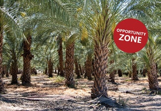 More details for 92745 84th Ave, Thermal, CA - Land for Sale