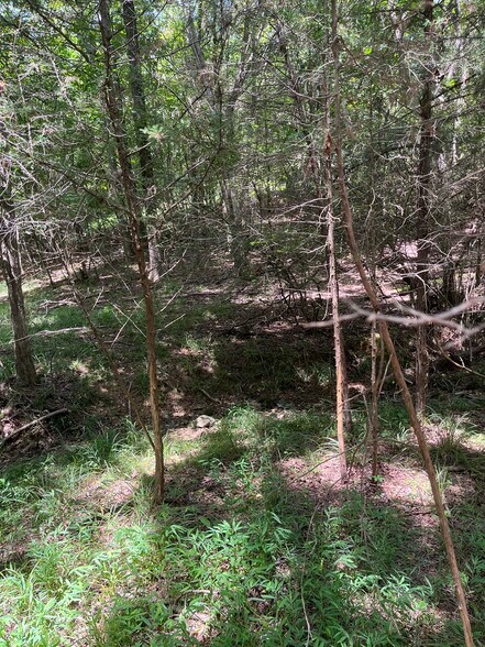 000 Old Goldmine Rd, Marshville, NC for sale - Building Photo - Image 2 of 2