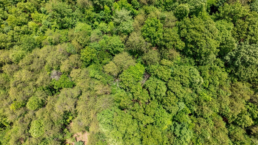 1981 Jamestown Rd, Morganton, NC for sale - Building Photo - Image 3 of 19