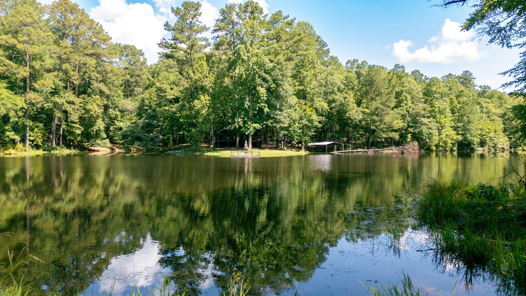 17796 Dry Branch loop, Northport, AL for sale Other- Image 1 of 87