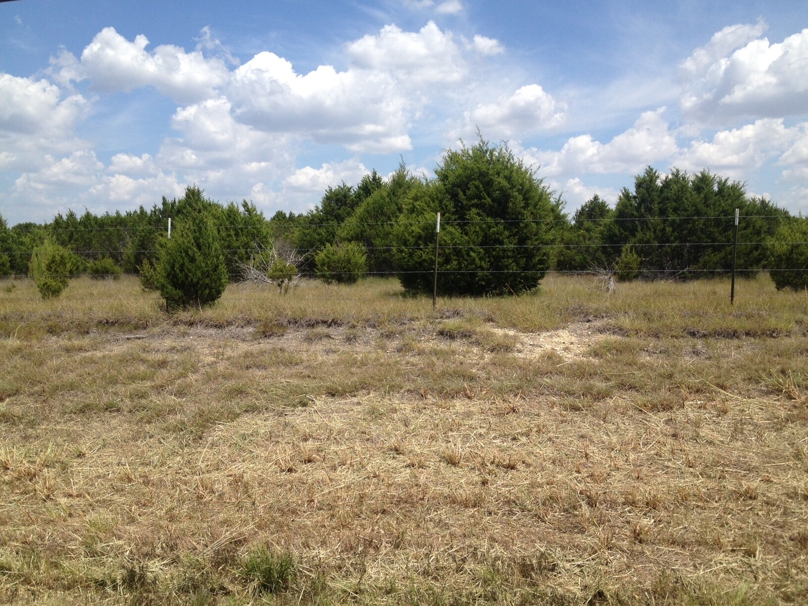 183A TOLL Rd, Leander, TX for sale Primary Photo- Image 1 of 1