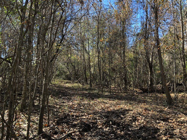 735 Highway 61 N, Natchez, MS for sale Other- Image 1 of 1