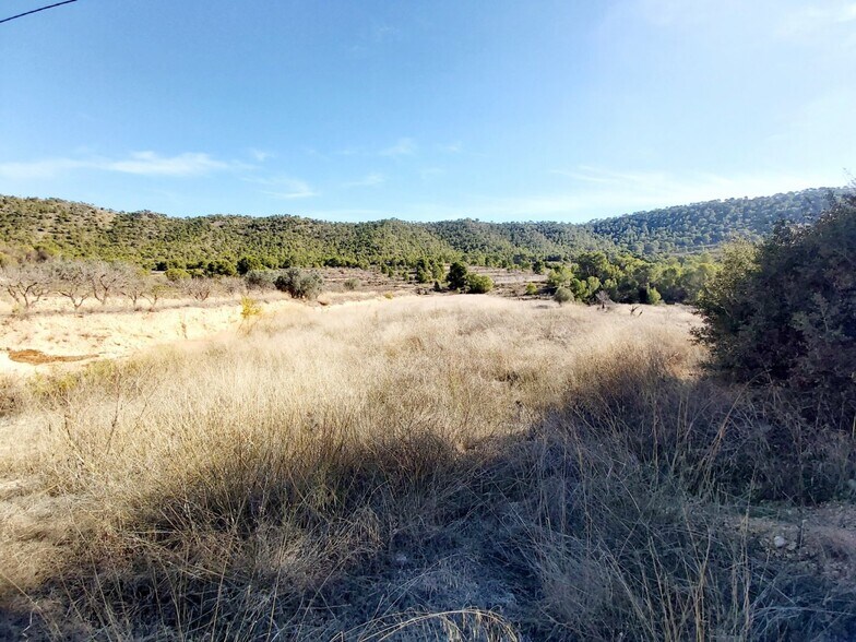 Land in MONÒVER for sale - Building Photo - Image 2 of 3