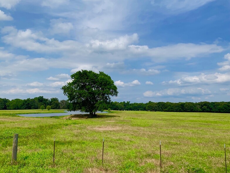 County Road 2285, Sulphur Springs, TX for sale - Primary Photo - Image 1 of 1