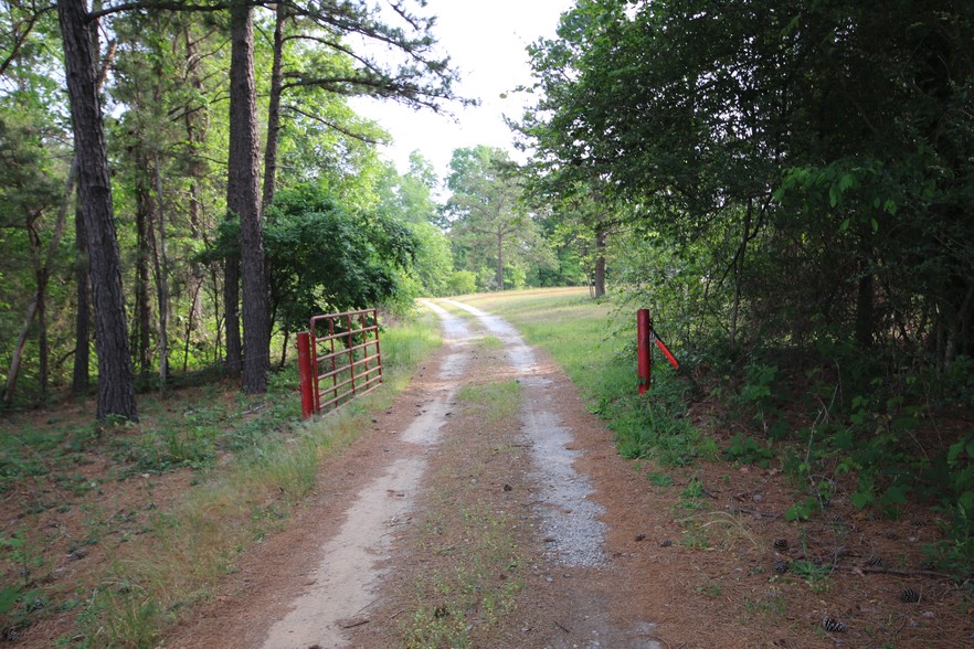 203 Firetower Rd, Cusseta, GA for sale - Building Photo - Image 1 of 1