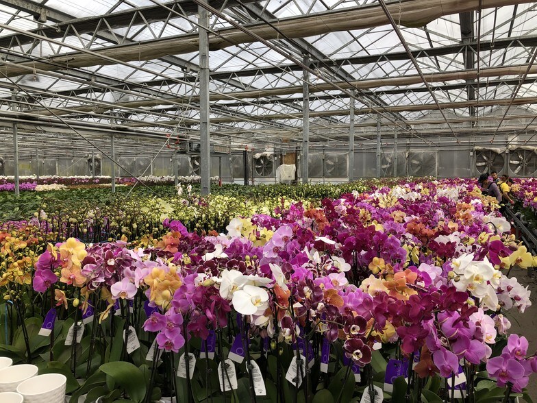 932 Scotchtown Collabar Rd, Middletown, NY for sale - Primary Photo - Image 1 of 1