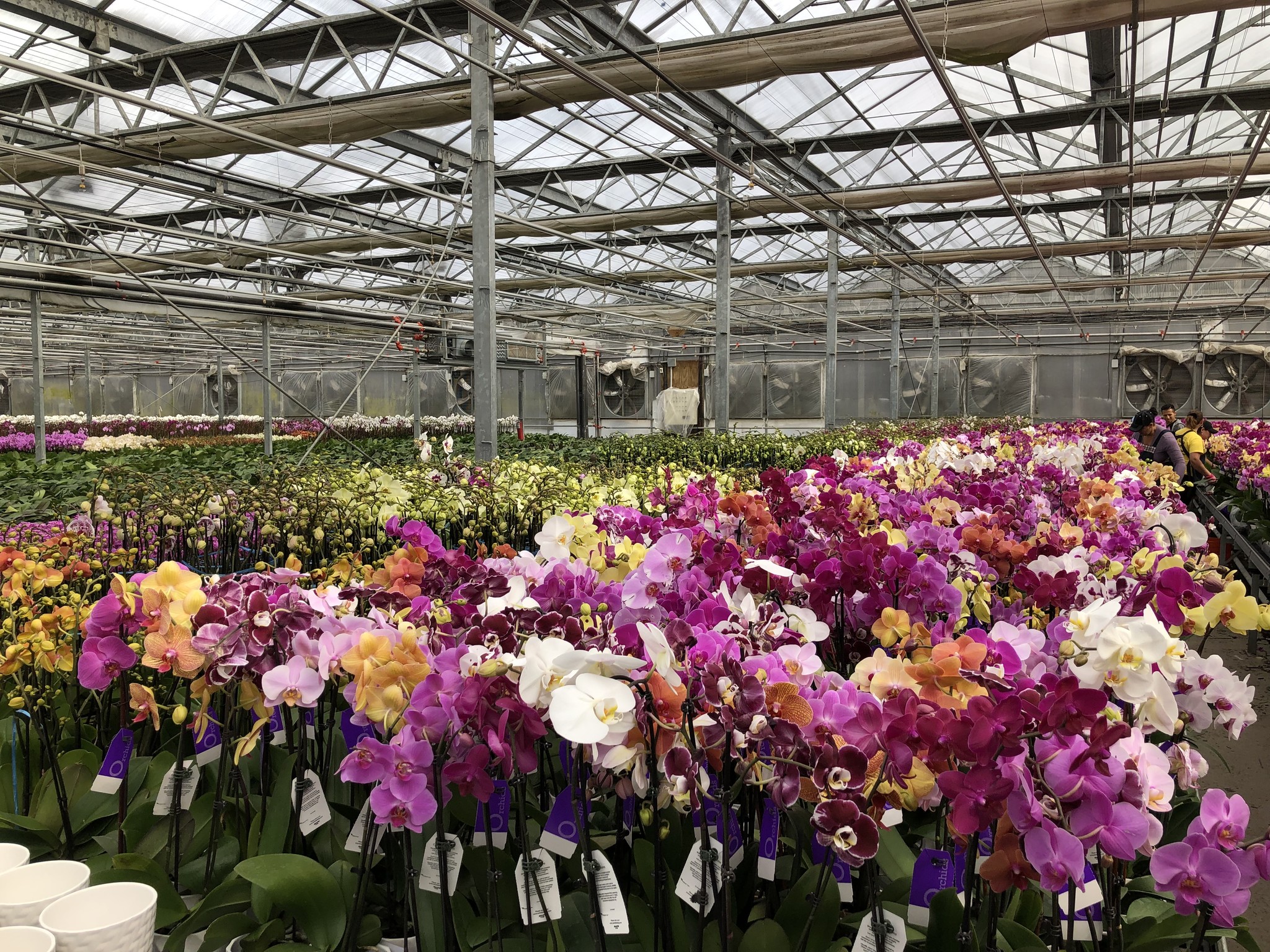 932 Scotchtown Collabar Rd, Middletown, NY for sale Primary Photo- Image 1 of 1