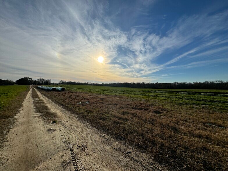 0 PREVATT RD, Cowarts, AL 36321 Pratt Farm