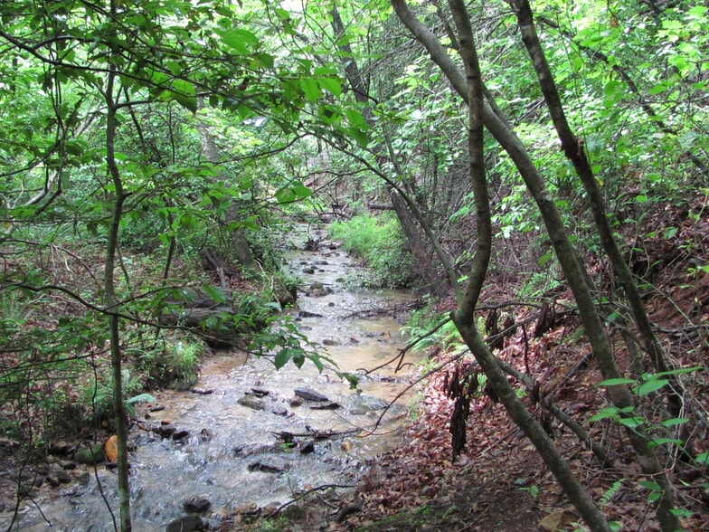 Ridge Rd, Ferguson, NC for sale - Other - Image 3 of 11