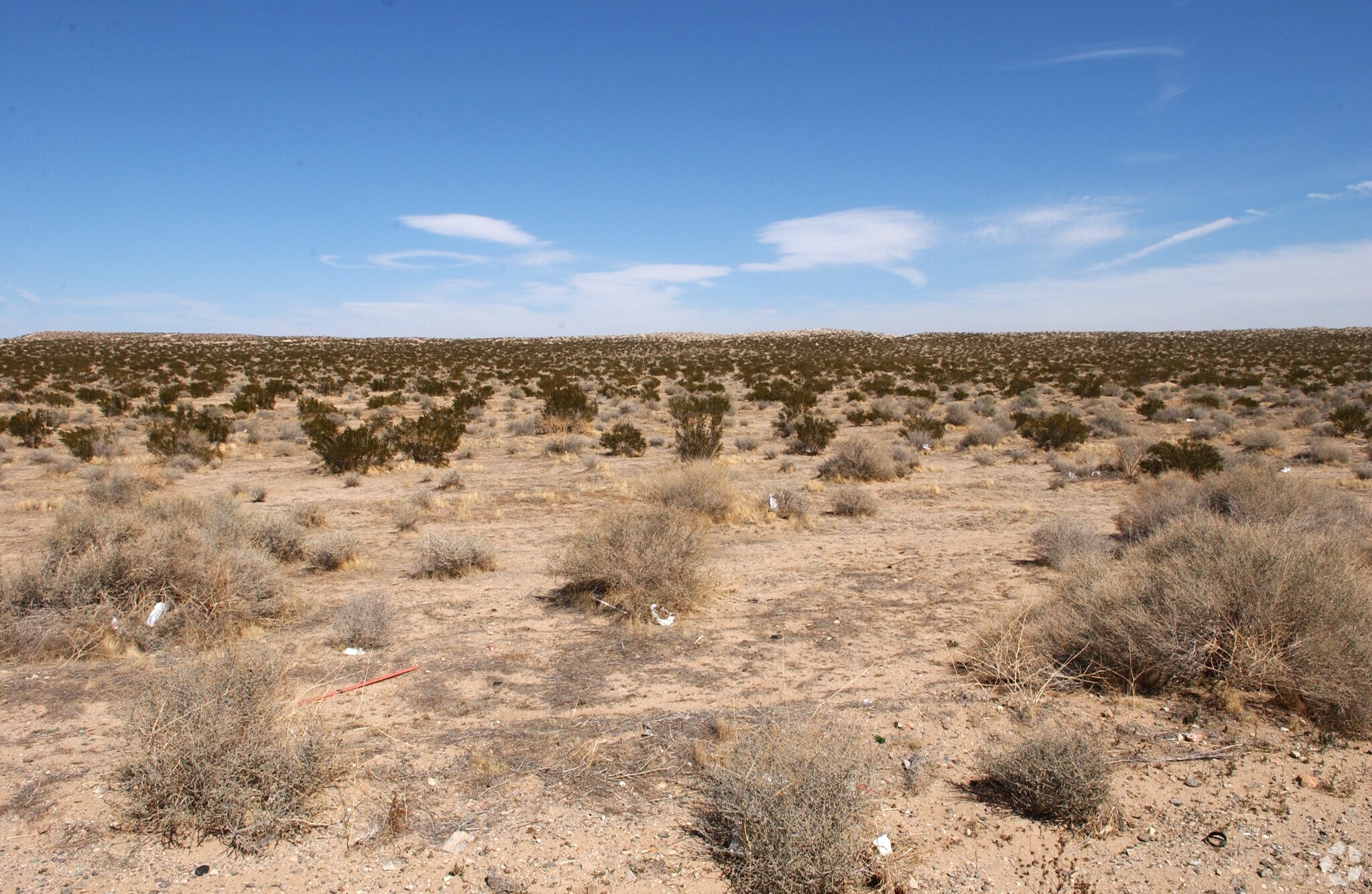 Lenwood Rd, Barstow, CA for sale Primary Photo- Image 1 of 1