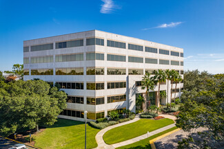 More details for 311 Park Place Blvd, Clearwater, FL - Office for Lease