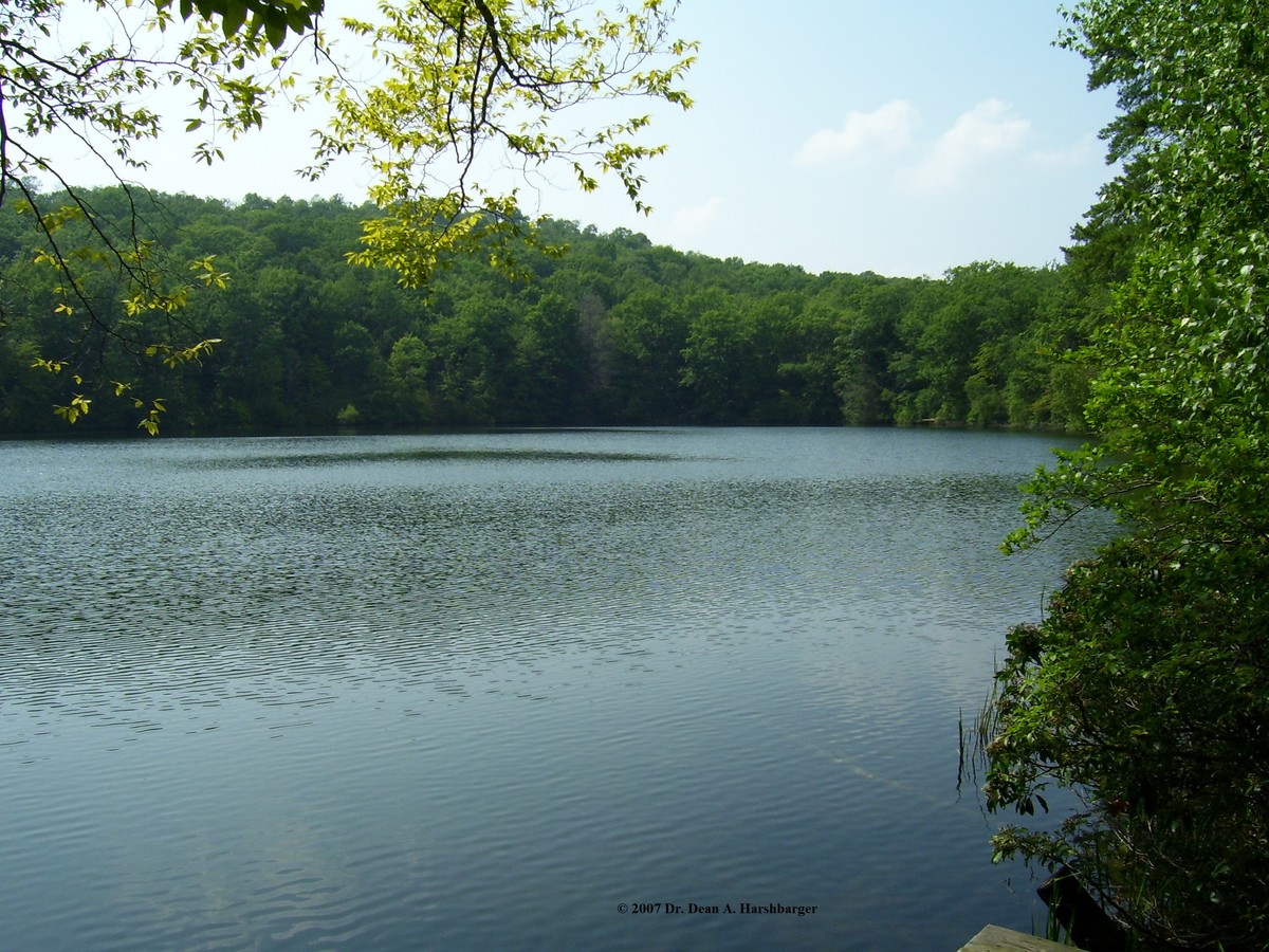 102 Hazard Pond Rd, Roaring Brook Township, PA 18444 | LoopNet