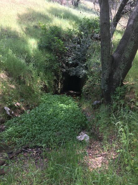 16270 California Mine Rd, Drytown, CA for sale Other- Image 1 of 1