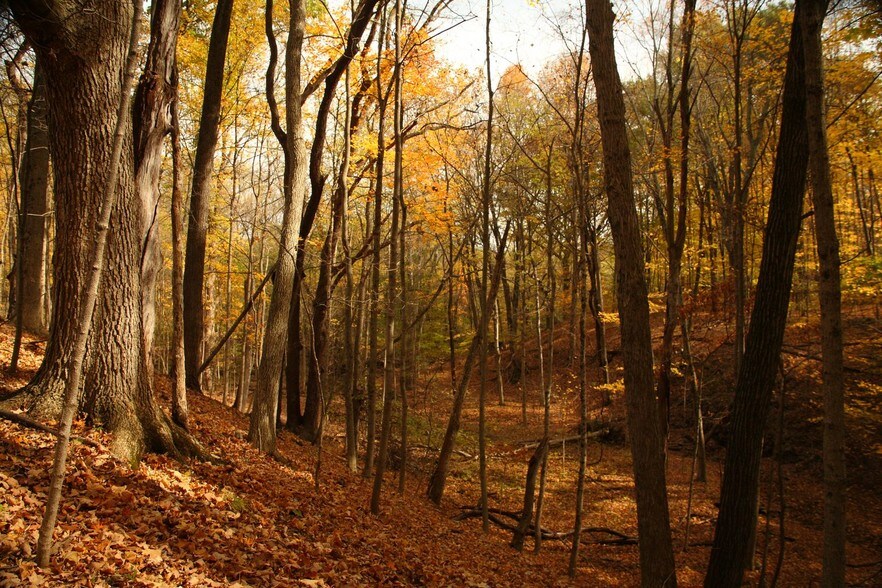 619 Home Rd, Delaware, OH 43015