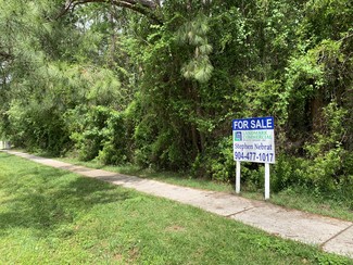 More details for CR 220 & Hollars Pl, Middleburg, FL - Land for Sale