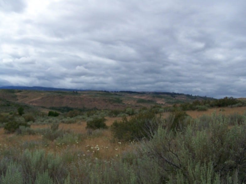 Highway 95, Council, ID 83612