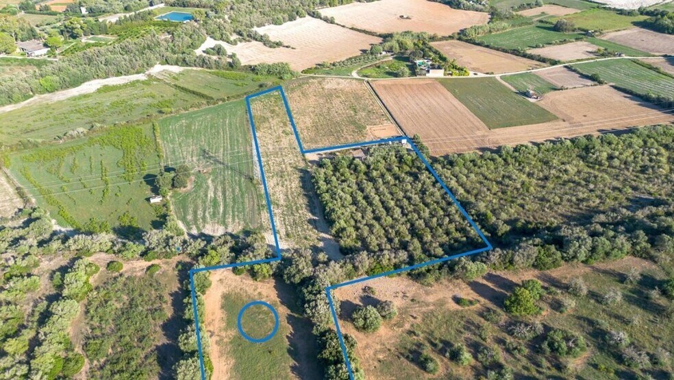 Land in Muro, Islas Baleares for sale - Aerial - Image 3 of 14