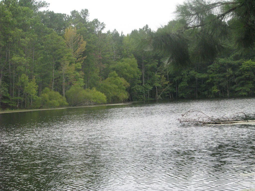 623 Mountain Lakes Rd, Chester, SC for sale Interior Photo- Image 1 of 1