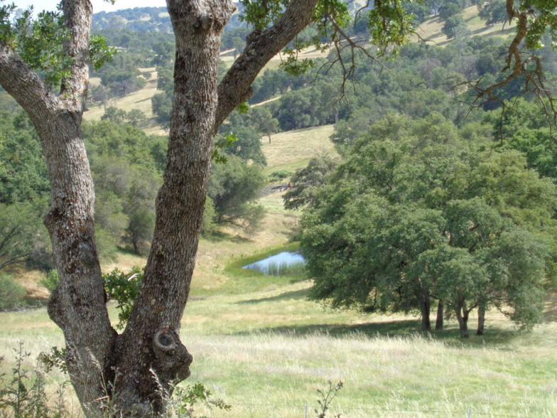 22445 Perimeter Rd, Grass Valley, CA for sale - Primary Photo - Image 1 of 1