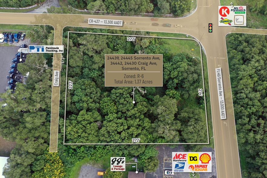 24439 Craig Ave, Sorrento, FL for sale - Building Photo - Image 3 of 14