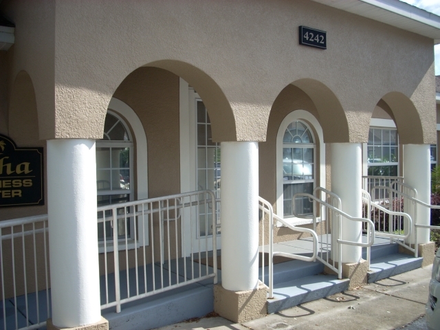 4242-4244 W Linebaugh Ave, Tampa, FL for lease - Building Photo - Image 3 of 34