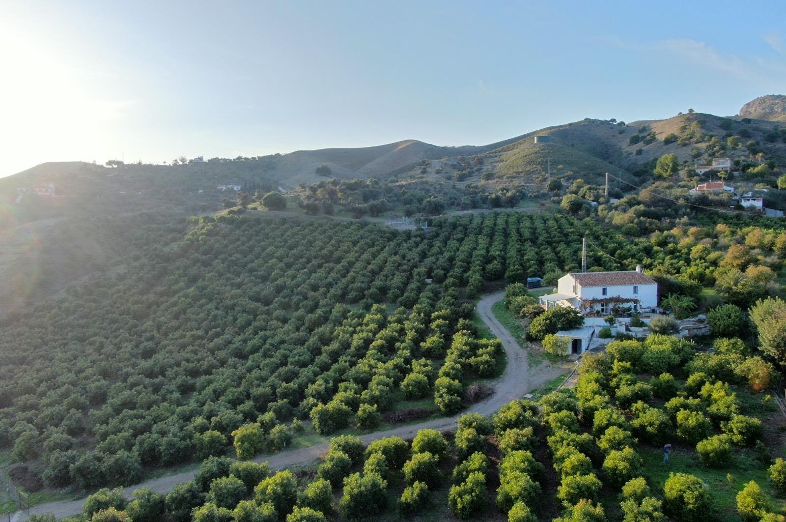 Land in Álora, Málaga for sale Building Photo- Image 1 of 16